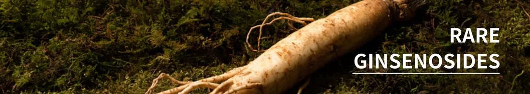 China Manufacturer Pesticide Free Water Soluble Ginsenosides 5-80% HPLC Ginseng Root Extract Organic Panax Ginseng Extract Powder