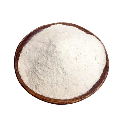 Garlic Seasoning Powder With Natural Ingredients