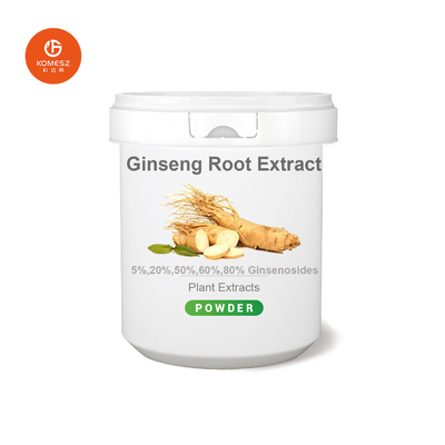 China Manufacturer Pesticide Free Water Soluble Ginsenosides 5-80% HPLC Ginseng Root Extract Organic Panax Ginseng Extract Powder