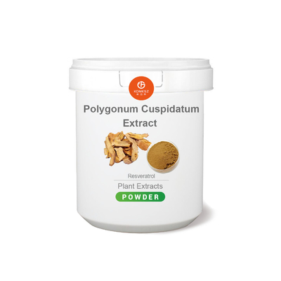 100% Natural Polygonum Cuspidatum Extract 98% Resveratrol Free Samples