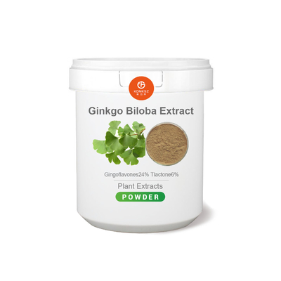 Ginkgo Biloba Extract 24% Total Flavones 6% Terpene Lactones