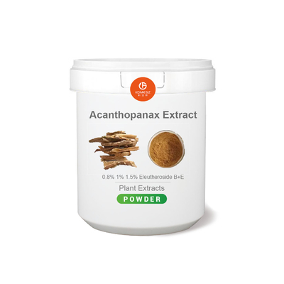 Factory Supply Pure Natural Acanthopanax Senticosus Extract 10/ 1 For Anti-Fatigue